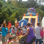 SAM_0773