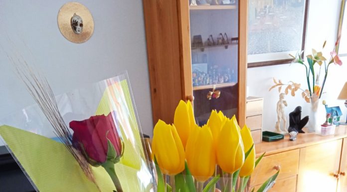 De mare i de llengua, només en tenim una