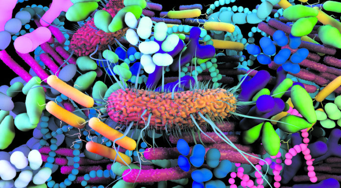 Conviure amb els virus