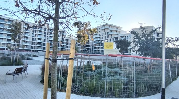 LES CUES DE LA FAM D’HABITATGE /2