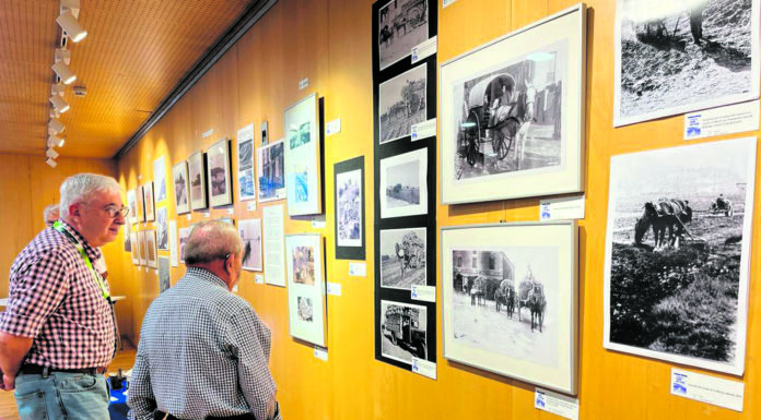 Una mirada al passat i al present sobre el cicle de l’aigua com a element de riquesa a la Marina