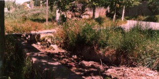 L’aportació del canal de la infanta als nostres barris