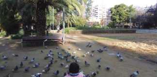 Parc dels drets humans, un jardí preuat i un passeig de luxe prop de casa