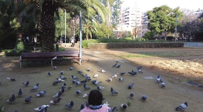 Parc dels drets humans, un jardí preuat i un passeig de luxe prop de casa