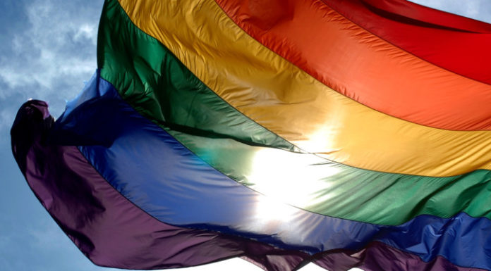 RETAHÍLAS: DIVERSIDAD