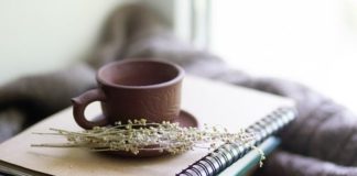 Què són els probiòtics