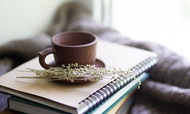 Què són els probiòtics