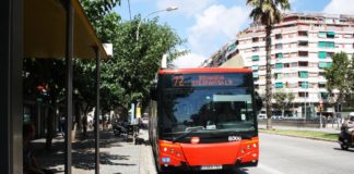 Noves línies de la xarxa de bus arriben a La Marina