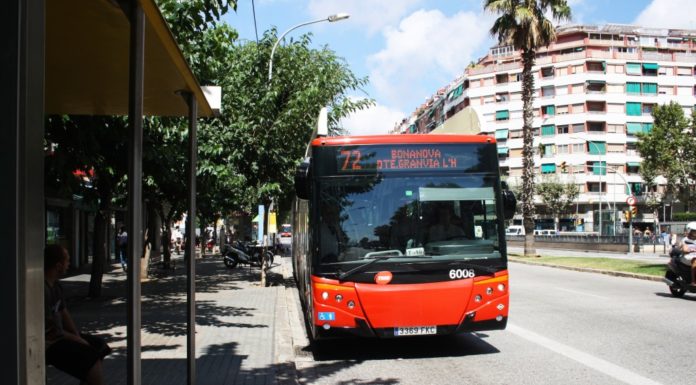 Noves línies de la xarxa de bus arriben a La Marina