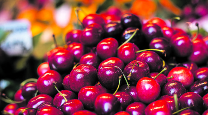 Els vermells de la primavera