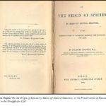 evolucionistas libro origen