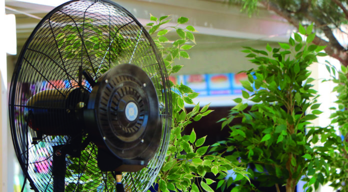 Estimat estiu. No ets tu, sóc jo