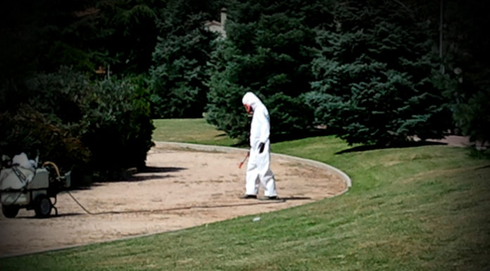 Denúncia de la utilització de productes químics al verd urbà de Barcelona