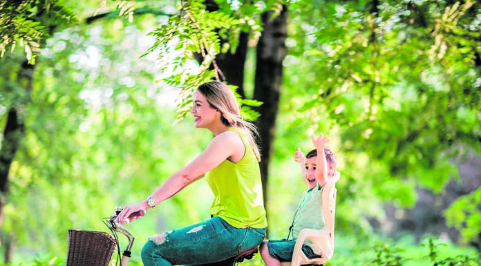 Què entenem per salut?