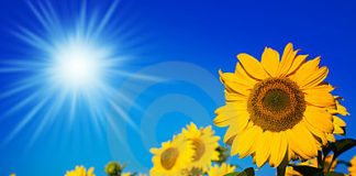 Avance programa 10 febrero – Sonia Arcos y Mireia Serra Vila