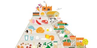 2021 ,l’any de l’alimentació sostenible