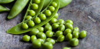 Faves i pèsols  ( i julivert)