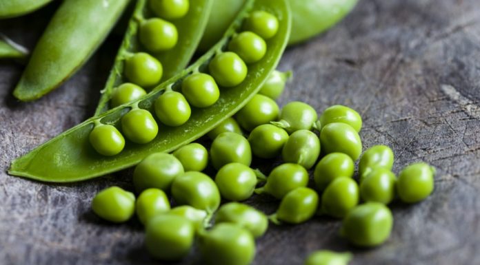 Faves i pèsols ( i julivert)