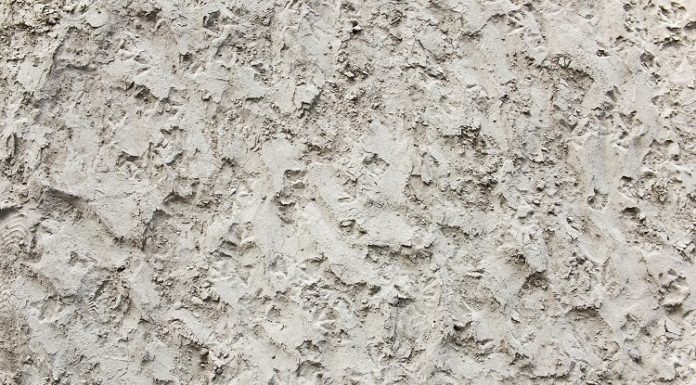 Viure Poèticament I Vell mur caigut