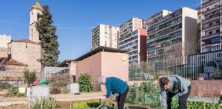 Es convoca el concurs per conrear les parcel·les dels horts urbans destinats a gent gran i entitats sense ànim de lucre
