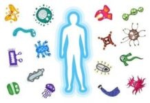 Com ajudar a les nostres defenses?