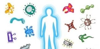 Com ajudar a les nostres defenses?