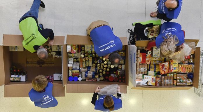 “Tones de voluntat”