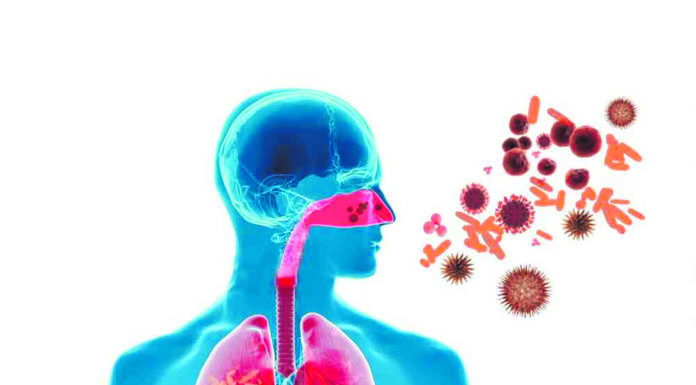 Virus Respiratoris: Impacte en la Salut i Mesures de Prevenció