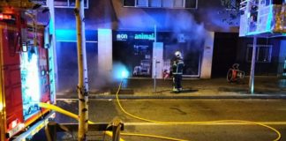 Un incendi a la botiga Món Animal de la Rambla Badal provoca la mort d’uns 300 animals