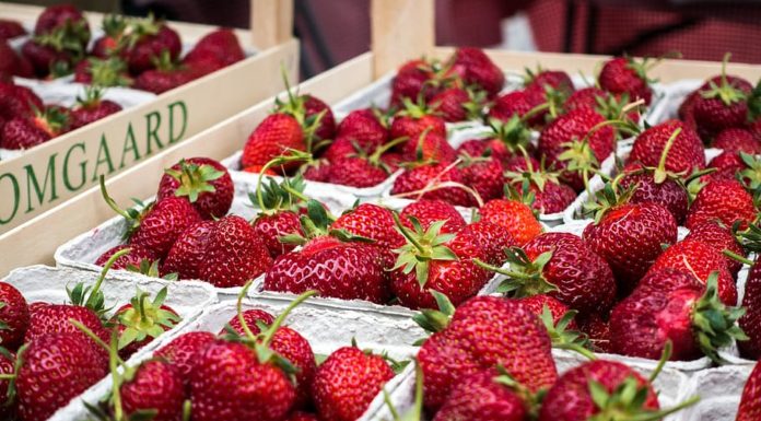 Els colors que porta la primavera