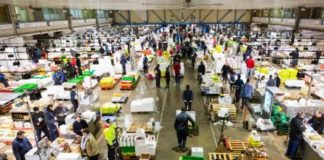 Mercabarna s’amplia un 22% i generarà fins a 3.000 llocs de treball