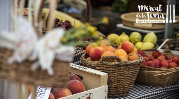Les rutes hermesianes fan parada al barri de la Marina