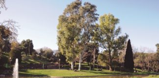 Propòsit pel 2019: Pujar més sovint a la muntanya de Montjuïc!