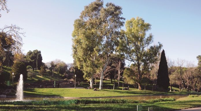 Propòsit pel 2019: Pujar més sovint a la muntanya de Montjuïc!