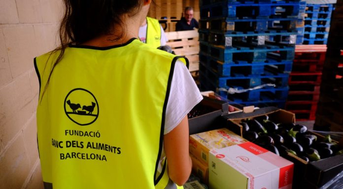 L’Ajuntament de Barcelona i el Banc dels Aliments de Barcelona inicien una recollida d’aliments i productes bàsics per als afectats per la DANA