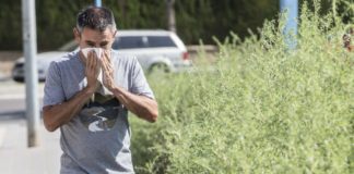 Desconfinament i al·lèrgia al pol·len