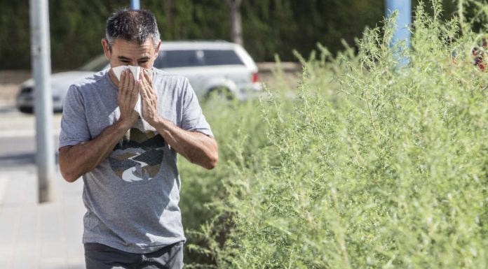 Desconfinament i al·lèrgia al pol·len