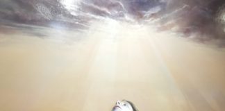 S’inaugura l’exposició ‘Reminiscències’