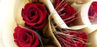 Viure poèticament I Un altre Sant Jordi