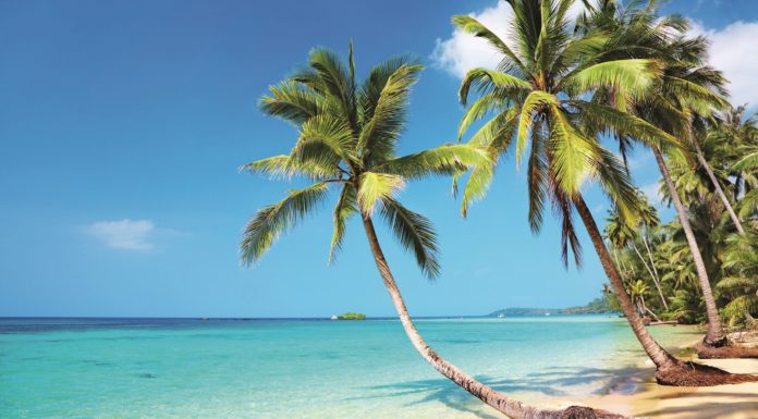 Si fem viatges internacionals… preparem-nos