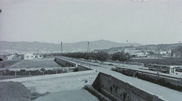 Sobre el futuro y el nombre del paseo de la Zona Franca ¿Cómo se decidirá?