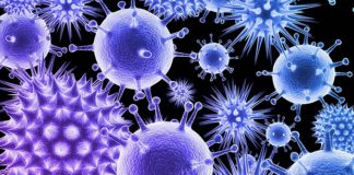 Els virus i els superbacteris: tot un repte planetari