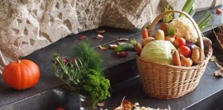 Els aliments de tardor