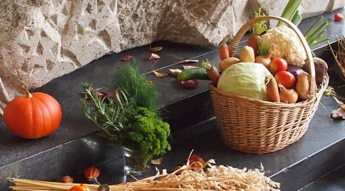 Els aliments de tardor