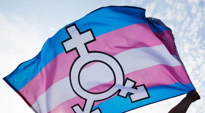 RETAHÍLAS: TRANSFEMINISMO