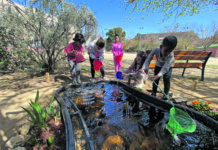 Un espai de biodiversitat a l’Escola El Polvorí