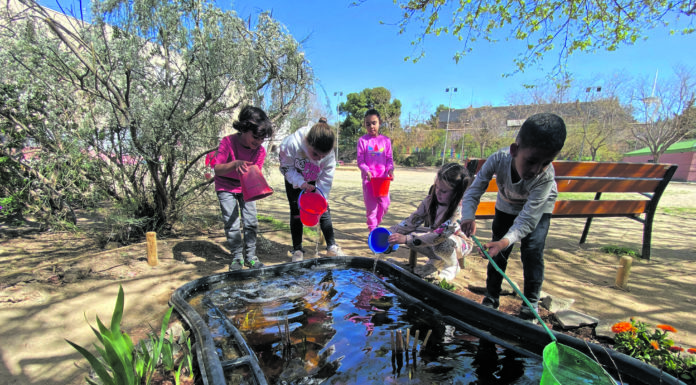 Un espai de biodiversitat a l’Escola El Polvorí