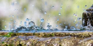 Inauguració de l’exposició Aigua, Font De Vida la Marina