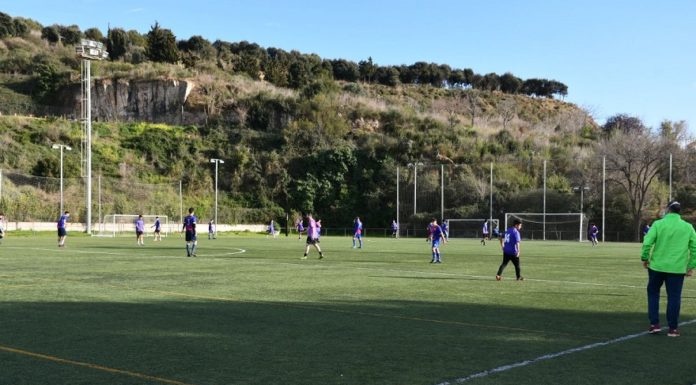 Nova gespa pels camps de la Bàscula-Emilio Fernández